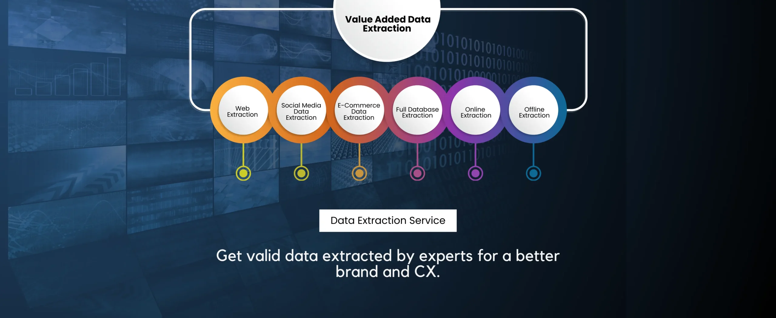 Expert solutions for accurate, automated data extraction and business enhancement.