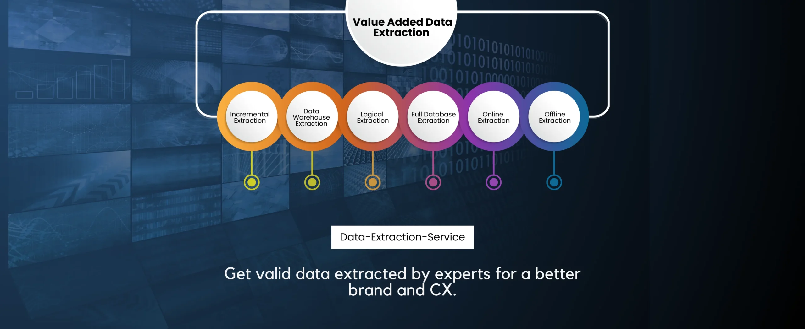 Expert solutions for accurate, automated data extraction and business enhancement.